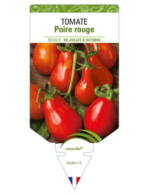 TOMATE POIRE ROUGE