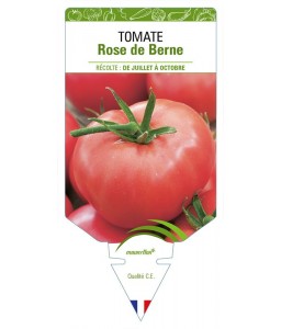 TOMATE ROSE DE BERNE