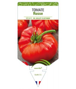 TOMATE RUSSE