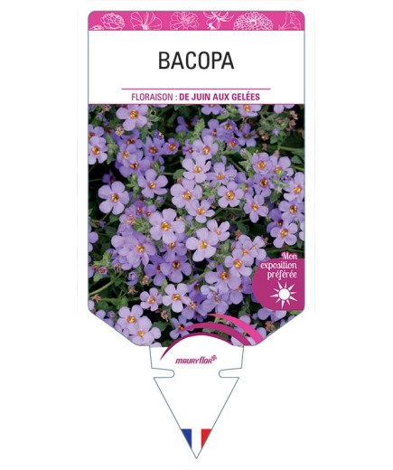 BACOPA (BLEU)