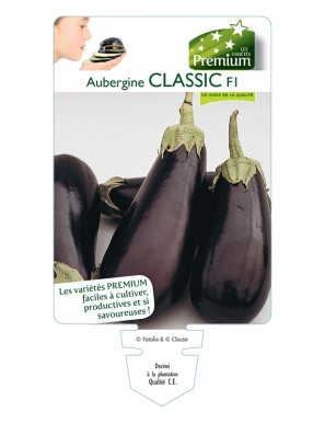 AUBERGINE CLASSIC F1