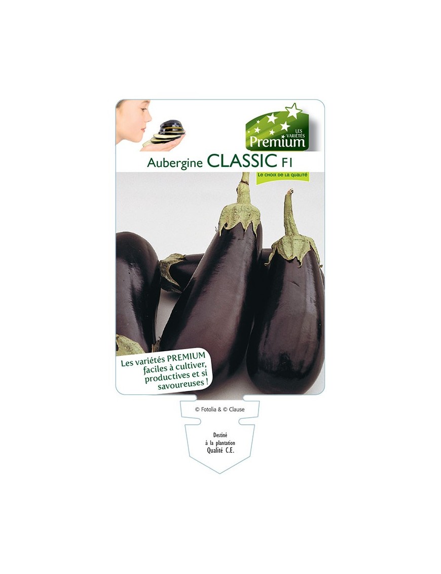 AUBERGINE CLASSIC F1