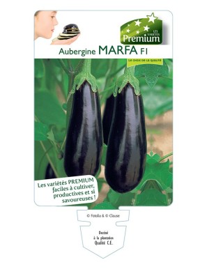 AUBERGINE (longue) MARFA F1