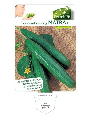 CONCOMBRE long MATRA F1