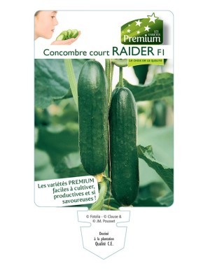 CONCOMBRE court RAIDER F1