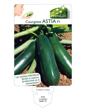 COURGETTE ASTIA F1