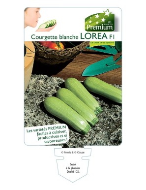 COURGETTE blanche LOREA F1