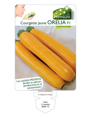 COURGETTE jaune ORELIA F1