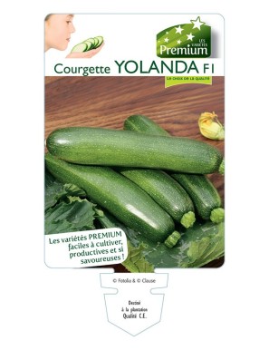 COURGETTE YOLANDA F1