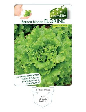 (Laitue) Batavia blonde FLORINE