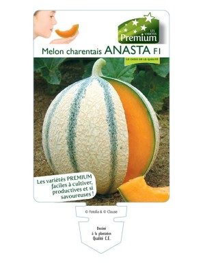 MELON charentais ANASTA F1