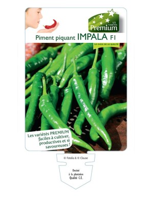 PIMENT piquant IMPALA F1