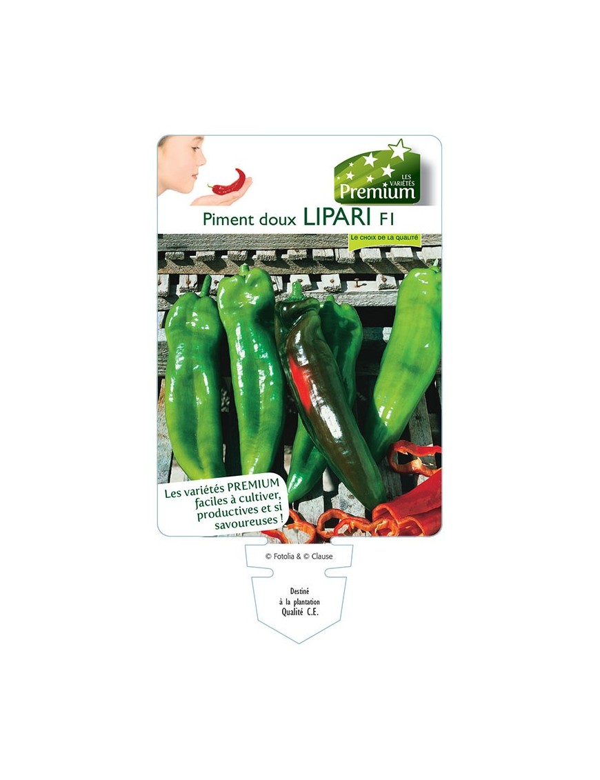 PIMENT doux LIPARI F1