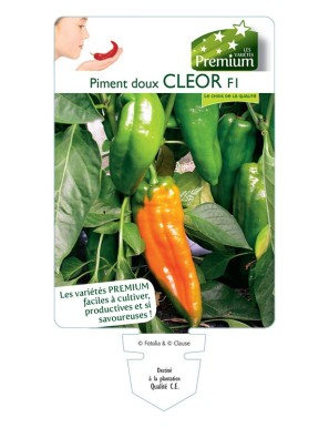 PIMENT doux CLEOR F1