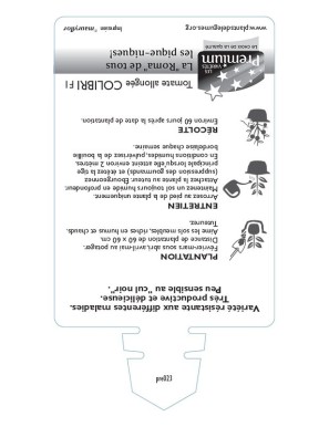 TOMATE allongée COLIBRI F1