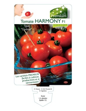 TOMATE HARMONY F1