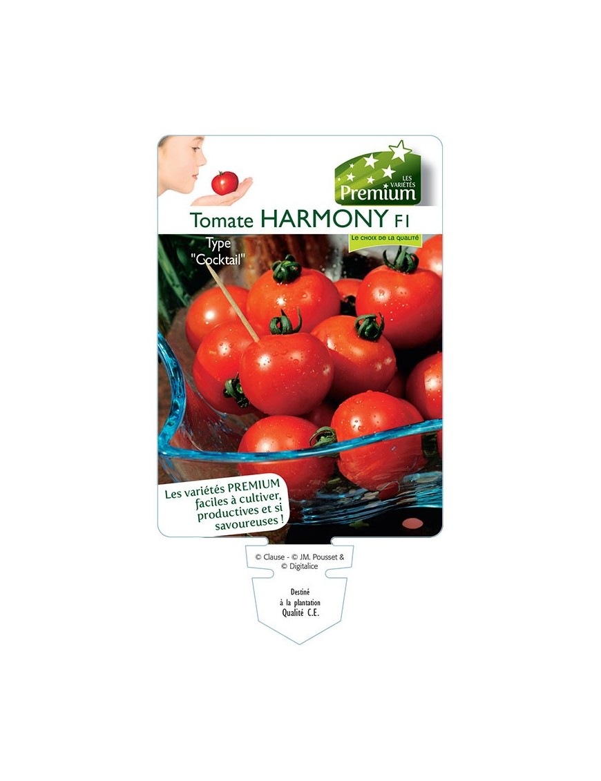 TOMATE HARMONY F1
