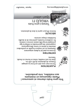 TOMATE à gros fruits VIRGILIO F1