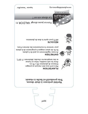 POIVRON jaune allongé VALDOR F1