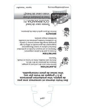 TOMATE coeur de boeuf GOURMANDIA F1