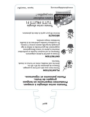 TOMATE cerise allongée TUTTI FRUTTI F1