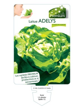 LAITUE ADELYS