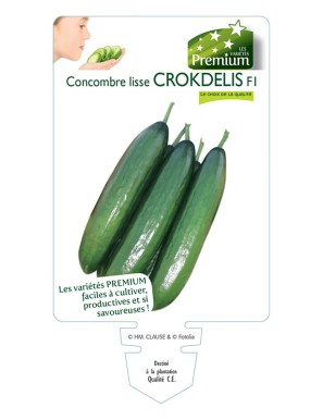 CONCOMBRE lisse CROKDELIS F1