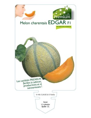 MELON charentais EDGAR F1