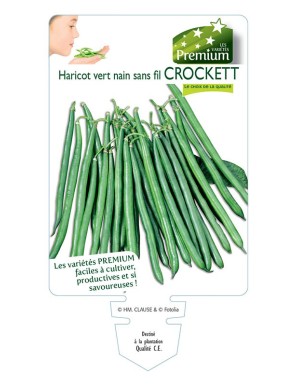 HARICOT vert nain sans fil CROCKETT