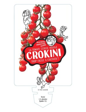 TOMATE CROKINI F1