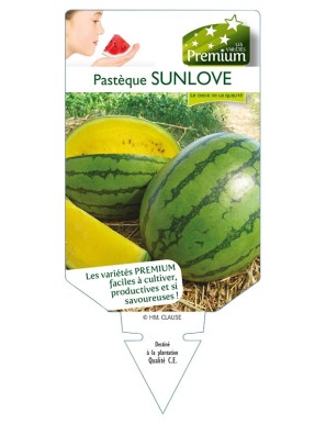 PASTÈQUE SUN LOVE