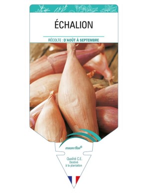 ECHALION