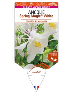 ANCOLIE Spring Magic® White