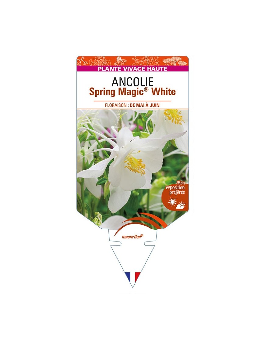 ANCOLIE Spring Magic® White