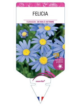 FELICIA