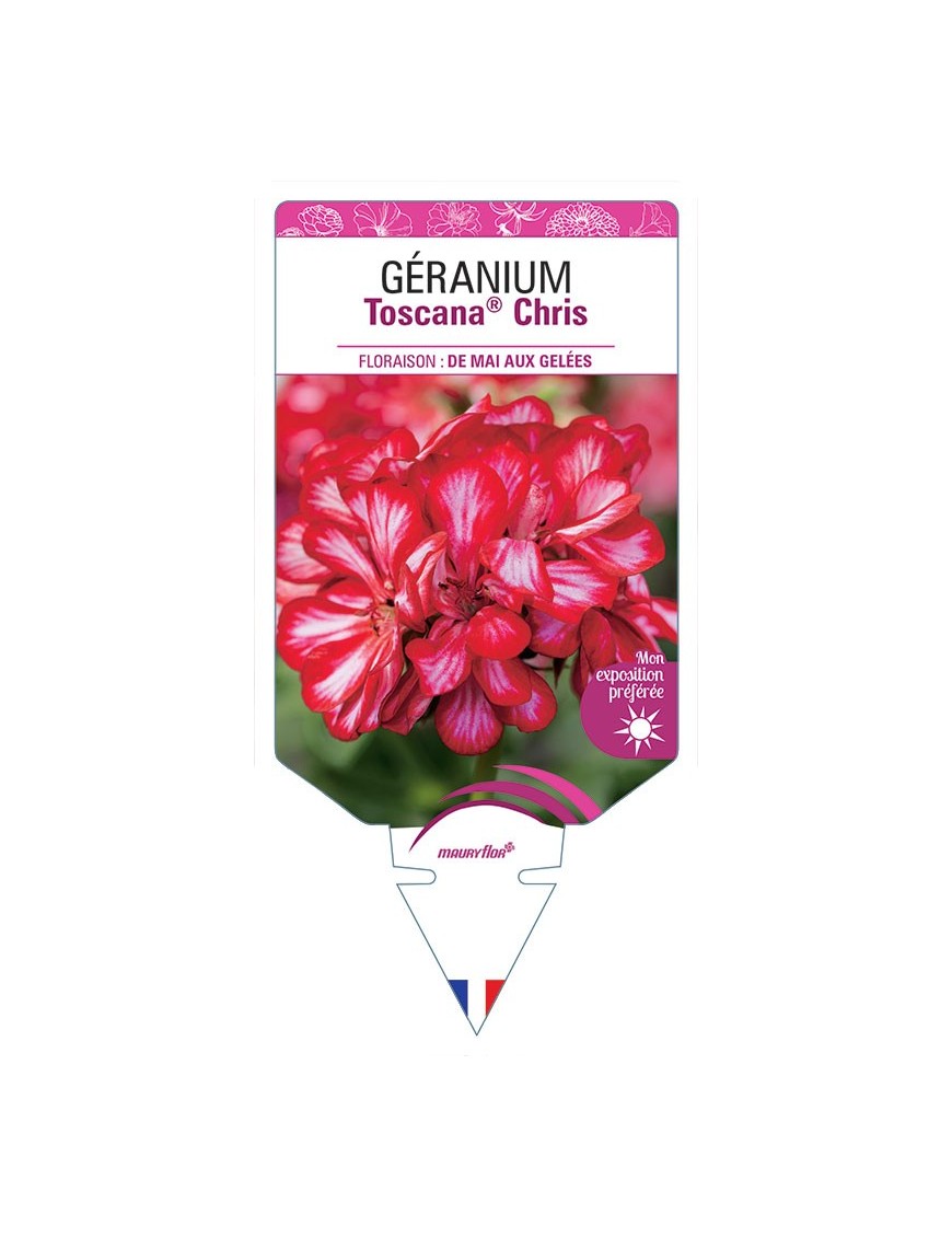 GÉRANIUM TOSCANA® CHRIS