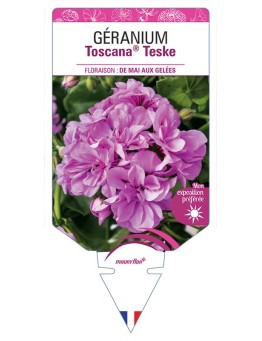 GÉRANIUM TOSCANA® TESKE