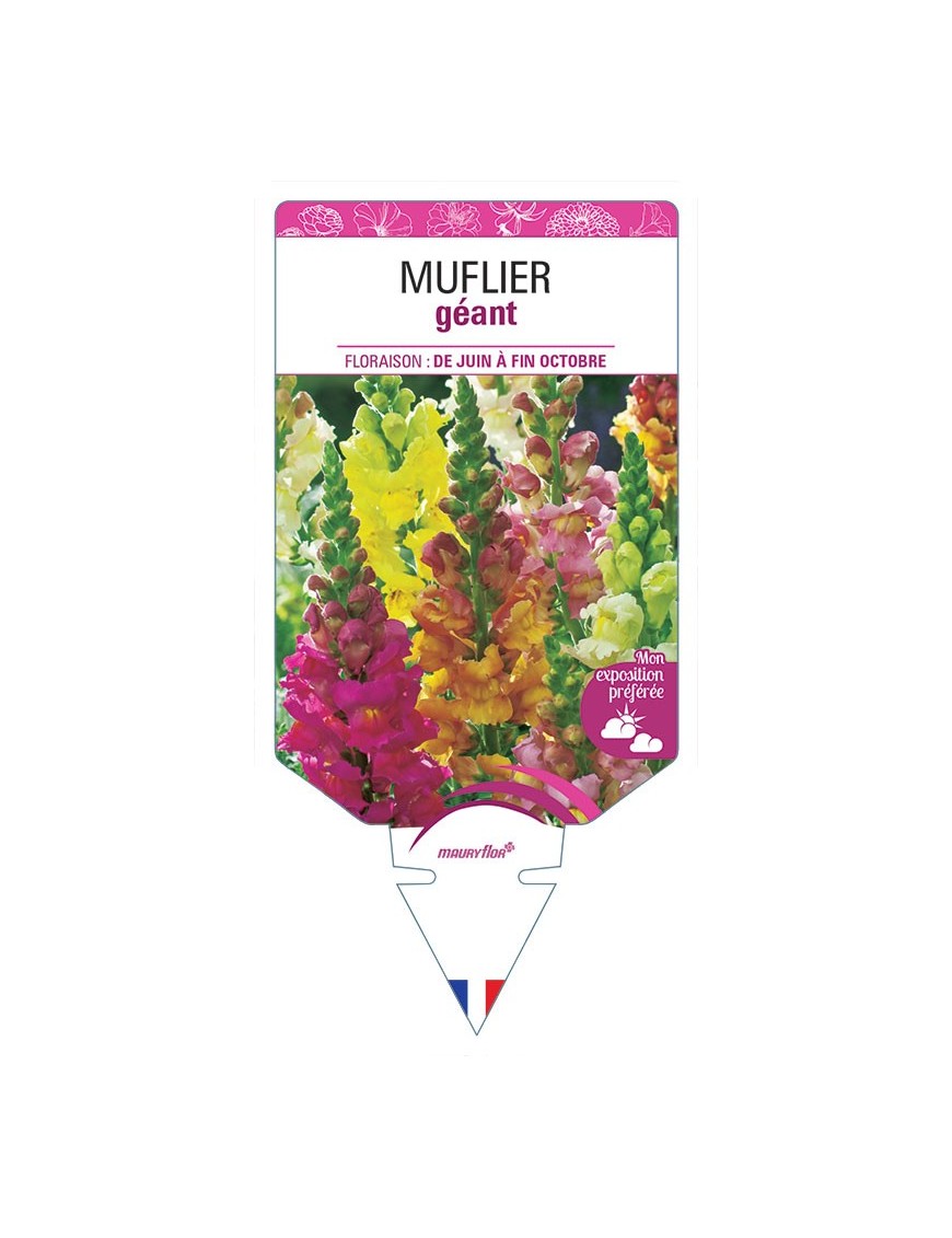 MUFLIER GÉANT (VARIÉ)