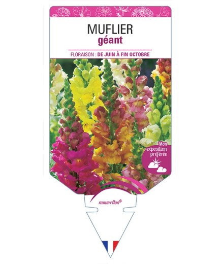 MUFLIER GÉANT (VARIÉ)