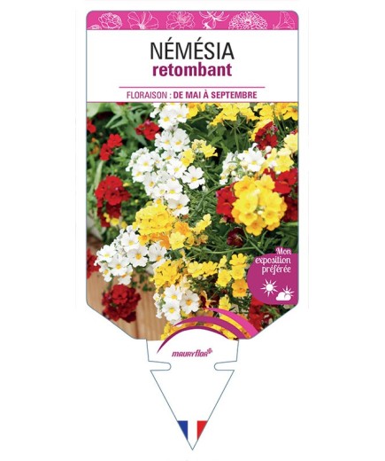 NÉMÉSIA RETOMBANT (VARIÉ)