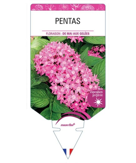 PENTAS