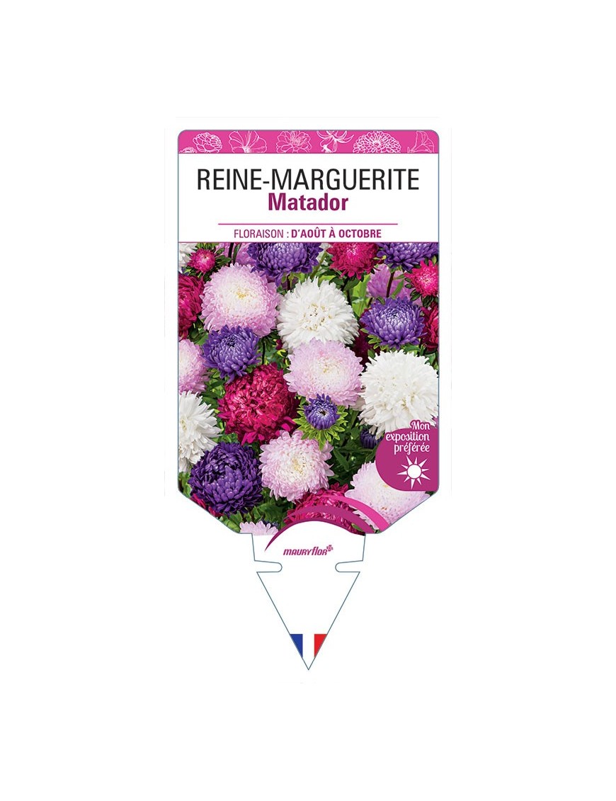 REINE-MARGUERITE MATADOR