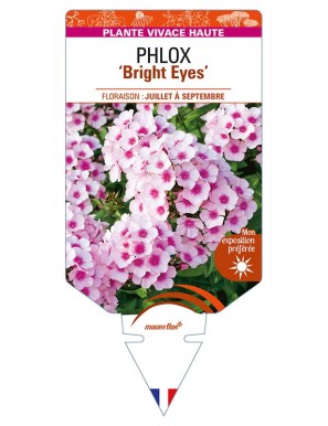 PHLOX (paniculata) 'Bright Eyes'