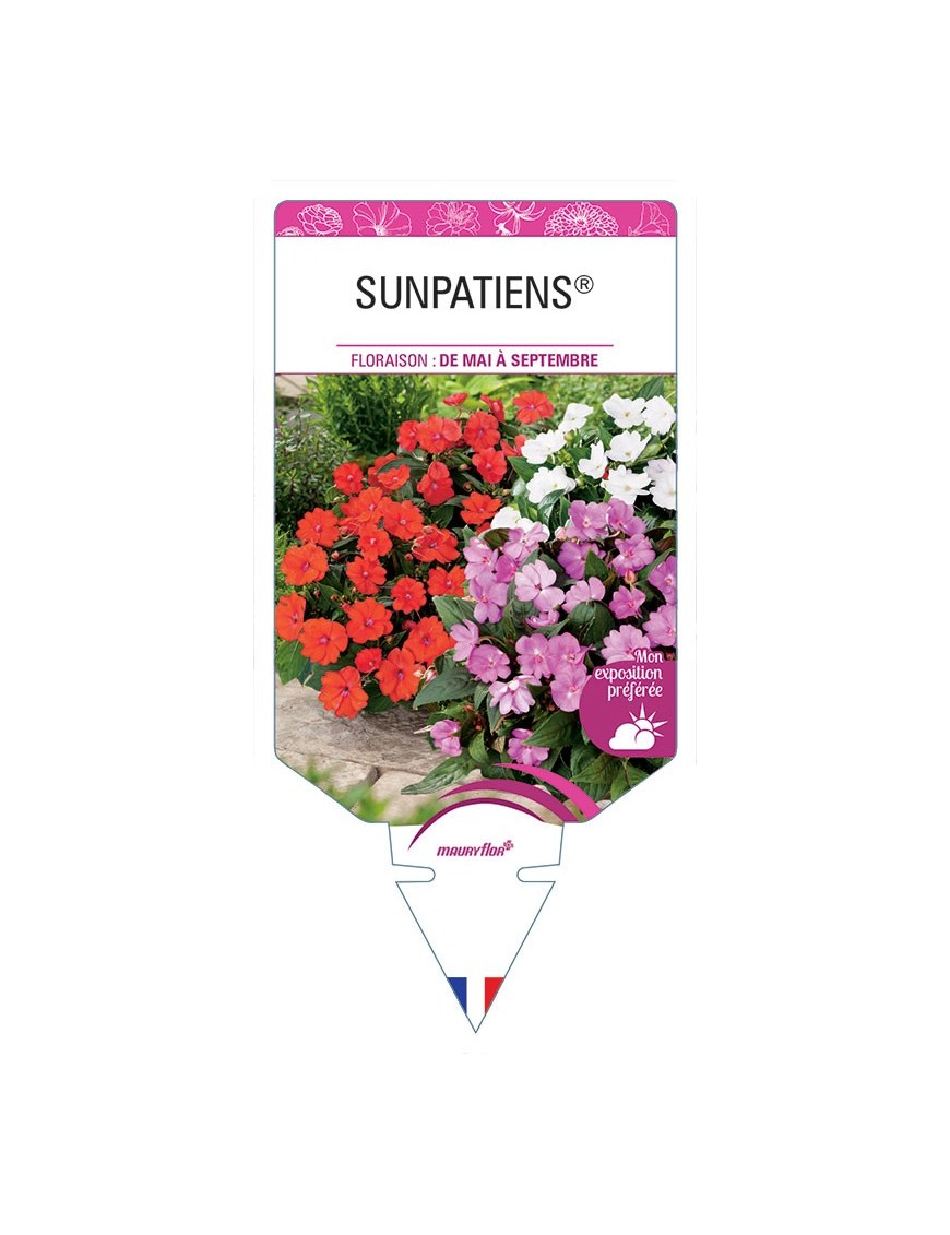 SUNPATIENS®