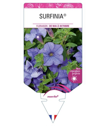 SURFINIA® (BLEU VEINÉ)