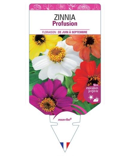 ZINNIA PROFUSION