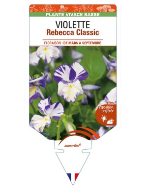 VIOLA Rebecca Classic