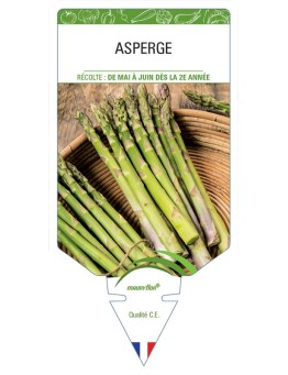 ASPERGE