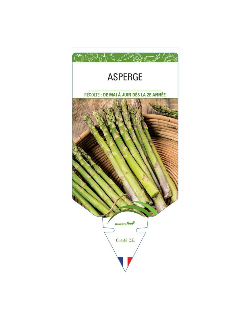 ASPERGE