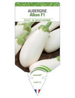 AUBERGINE ALKON F1